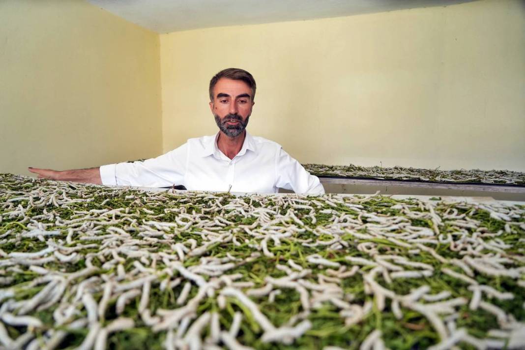 Yeni bir gelir kapısı: 50 günde binlerce lira kazanma fırsatı! Devletten alım garantisi var 6